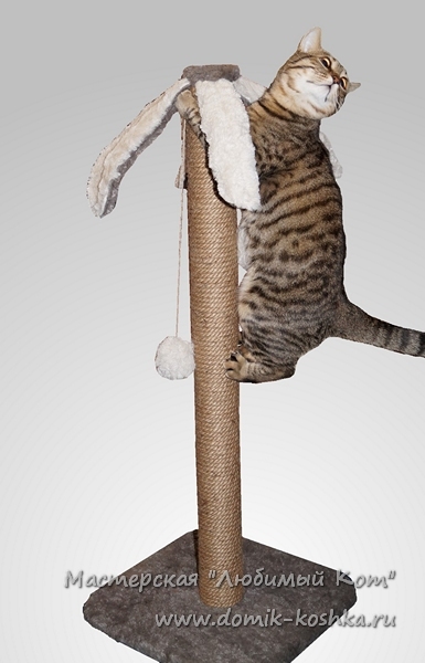 Когтеточки, лазилки и лежанки для кошек с кратким описанием и стоимостью Раздел когтеточки лазилки для кошек